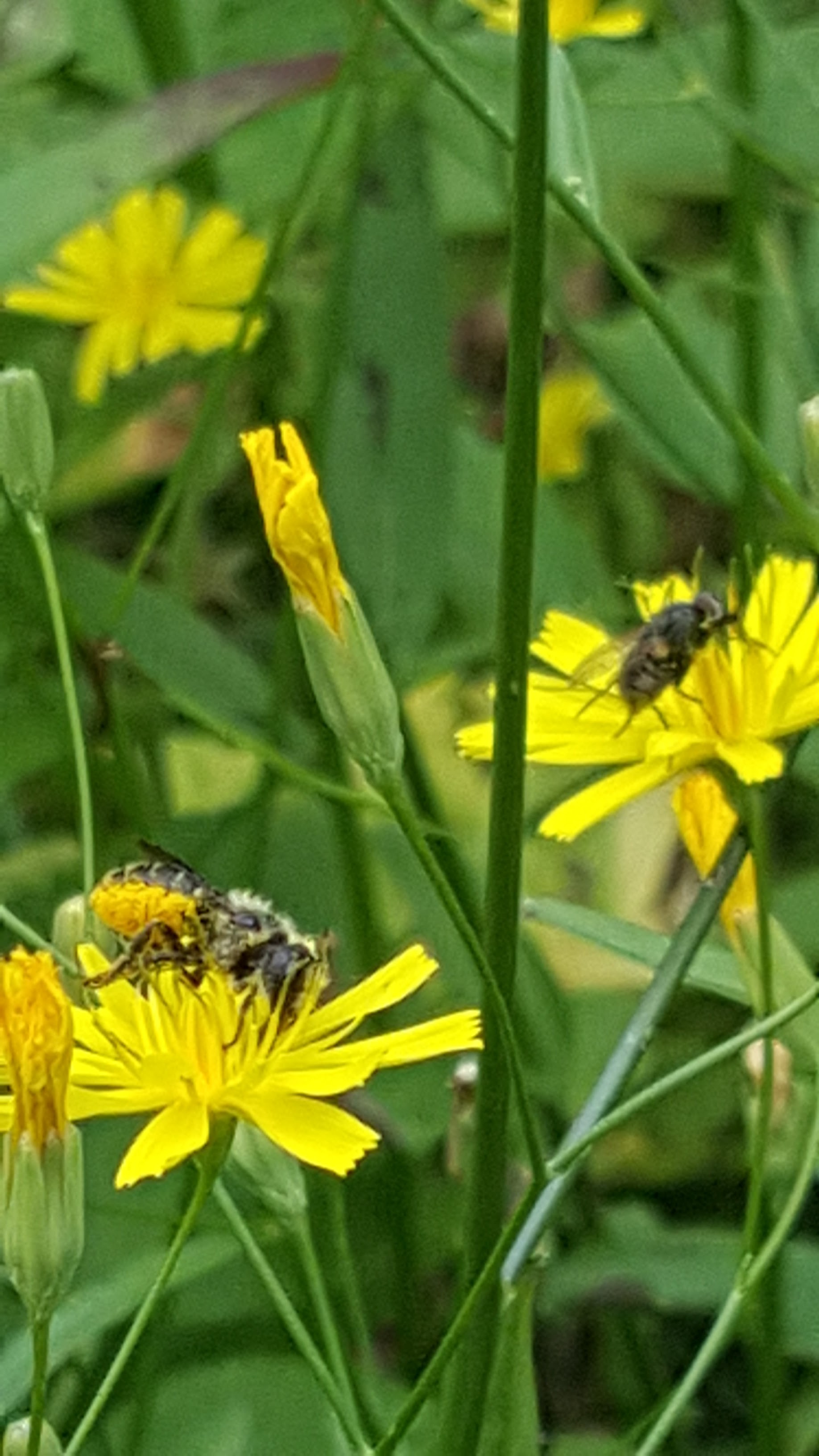 Photo n° 5 de l'avis de Fabrice.u fait le 28/07/2020 à 13:09