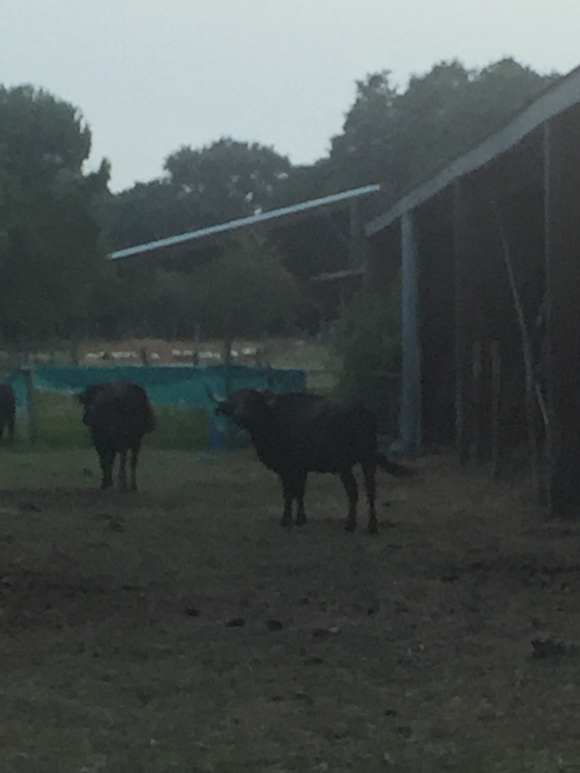 Photo n° 1 de l'avis de Nath. fait le 25/07/2019 à 20:21