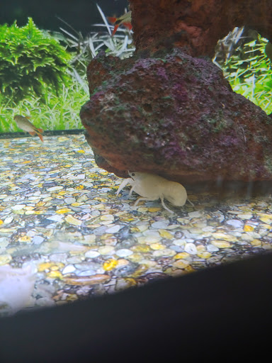 Pet Supply Store «Petco Animal Supplies», reviews and photos, 2140 E Blvd St, Kokomo, IN 46902, USA