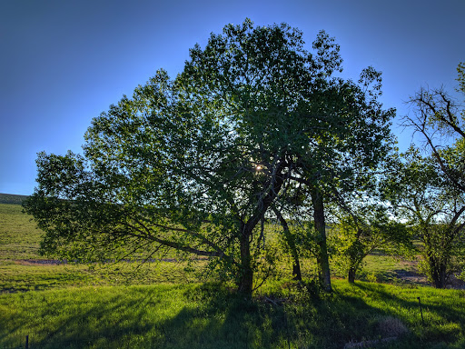 Golf Course «Fox Hollow Golf Course», reviews and photos, 13410 Morrison Rd, Denver, CO 80227, USA