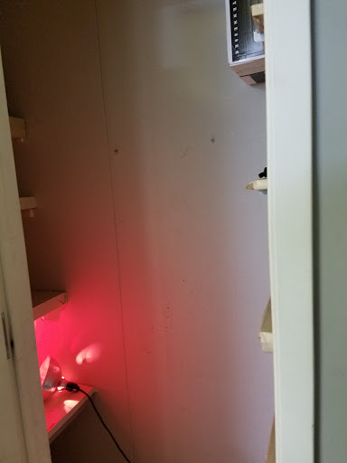 Performing Arts Theater «Lakeside Community Theatre», reviews and photos, 6303 Main St, The Colony, TX 75056, USA