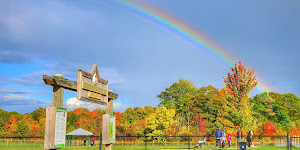 Grand Ravines Dog Park