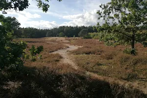 Bodenteicher Heide image