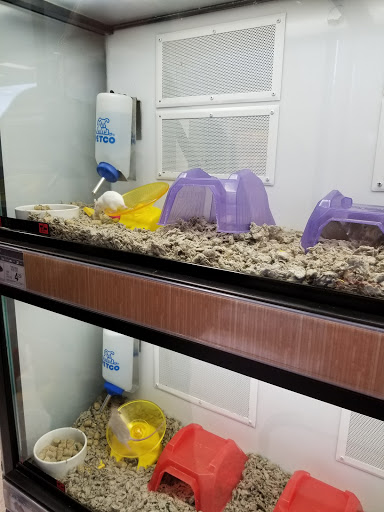 Pet Supply Store «Petco Animal Supplies», reviews and photos, 9078 SE Sunnyside Rd, Clackamas, OR 97015, USA