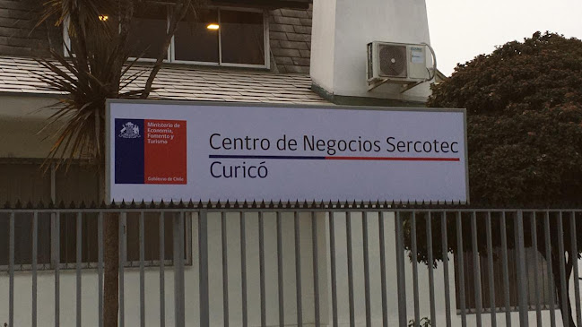 Opiniones de Centro de Negocios Sercotec Curicó en Curicó - Diseñador de sitios Web