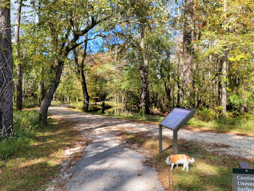 National Park «Moores Creek National Battlefield», reviews and photos, 40 Patriots Hall Dr, Currie, NC 28435, USA