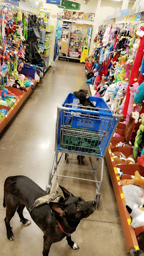 Pet Supply Store «PetSmart», reviews and photos, 7290 W Bell Rd, Glendale, AZ 85308, USA