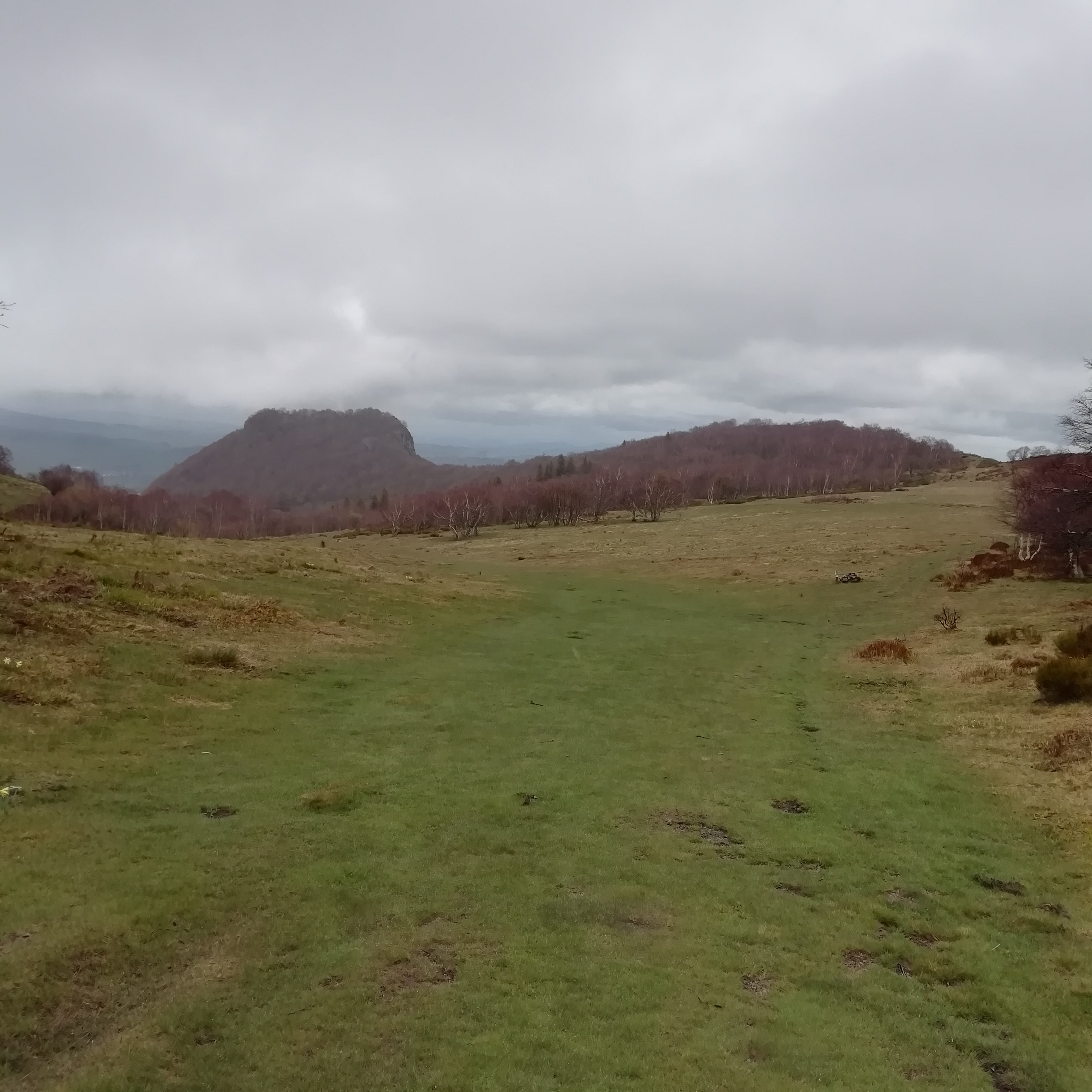 Photo n° 12 de l'avis de saux.o fait le 19/05/2019 à 14:55
