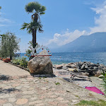 Photo n°1 de l'avis de Silvia.. fait le 19/06/2023 à 14:47 sur le  Belfiore Park Hotel 4 Stelle Superior à Brenzone sul Garda