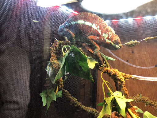 Tropical Fish Store «Ocean Gallery», reviews and photos, 980 US-22, North Plainfield, NJ 07060, USA