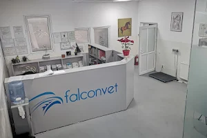 Falcon Vet image