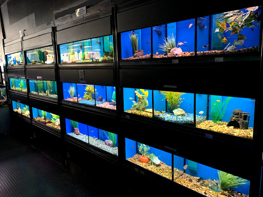 Pet Store «Wet Pets N Critters», reviews and photos, 103 TX-281 Loop, Longview, TX 75605, USA