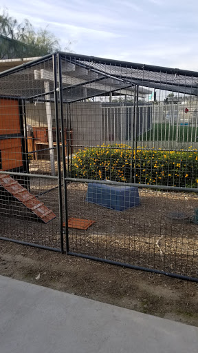 Corona Animal Shelter image