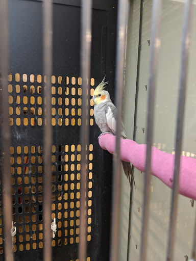 Pet Supply Store «PetSmart», reviews and photos, 1733 S Stapley Dr, Mesa, AZ 85204, USA