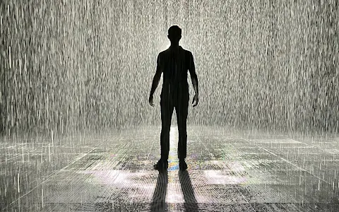 Rain Room image