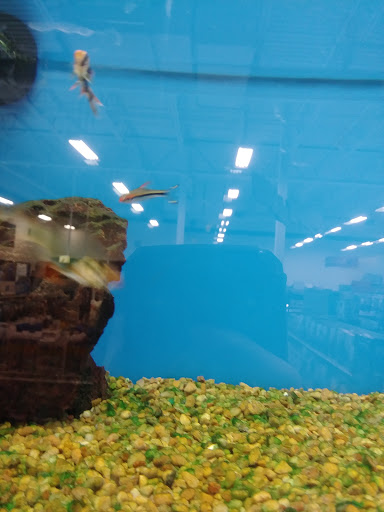 Pet Supply Store «Petco Animal Supplies», reviews and photos, 8010 Wedgewood Ln N, Maple Grove, MN 55369, USA