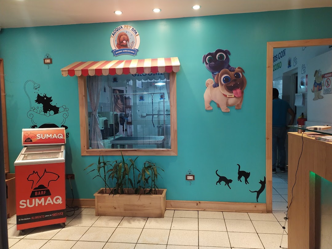  Acqua Pet Spa Spa para mascotas Spa para perros