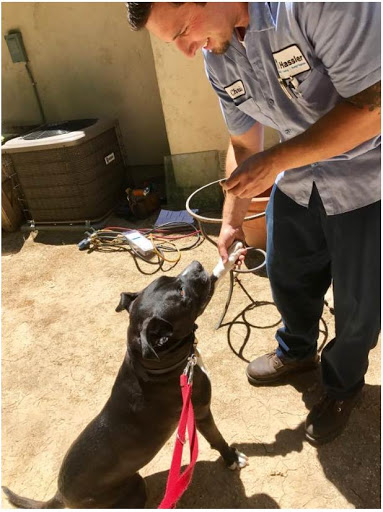 HVAC Contractor «Hassler Heating and Air Conditioning, Inc.», reviews and photos