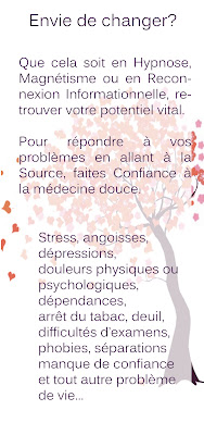 Guérin Maryse Hypnose, Magnétisme, Guidance informationnelle à Douarnenez