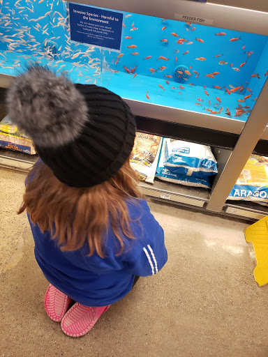 Pet Supply Store «PetSmart», reviews and photos, 279 E Fairmount Ave, Lakewood, NY 14750, USA