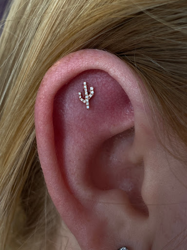 Explore tragus tattoo ideas, creative tattoo ideas in Kennewick, available at Citrine Piercing Studio