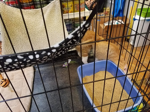 Pet Store «Fussy Friends Pet Supplies», reviews and photos, 148 Newark Ave, Jersey City, NJ 07302, USA