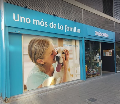 Miscota - Servicios para mascota en Valencia