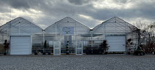 Rockelman's Heritage Tree Farm, Greenhouse & Landscaping LLC - Photo 8 - Car repair in Spring Grove, PA, York