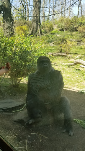 Park «Bronx zoo Park lot», reviews and photos, 2152 Crotona Pkwy, Bronx, NY 10460, USA