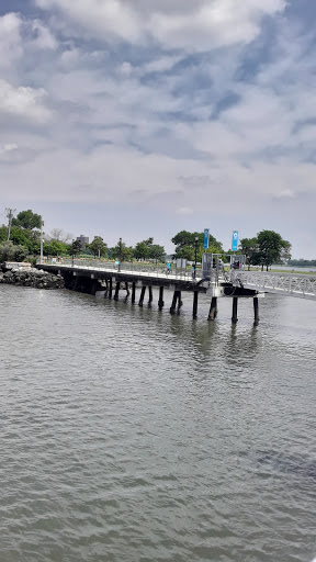 Soundview Ferry Terminal image 4