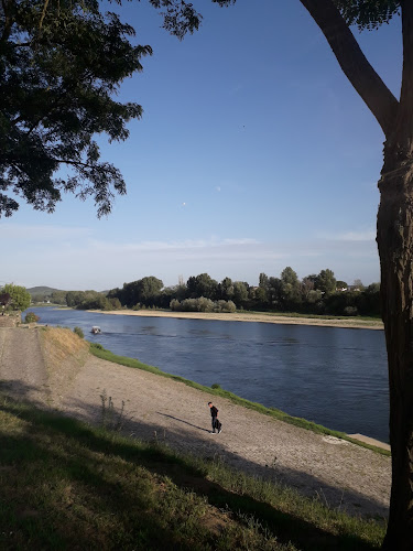 AMI Garonne à Tonneins