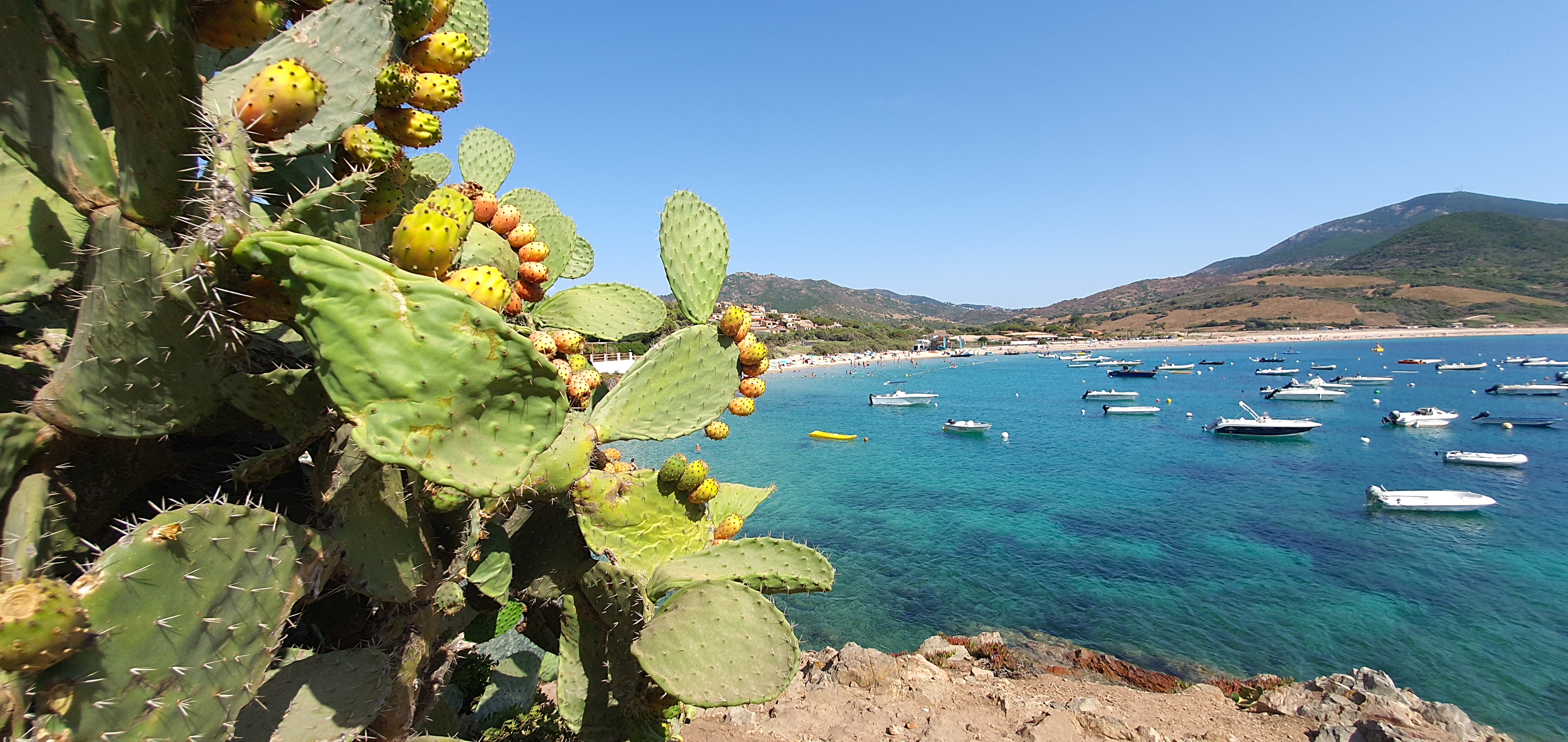 Photo n° 5 de l'avis de Bruno.u fait le 19/08/2023 à 09:03