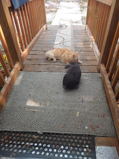 400 W Woodward Ave, Eustis, FL 32726, USA