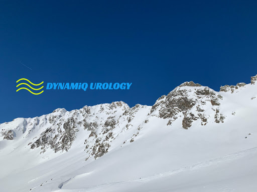 Dynamiq Urology