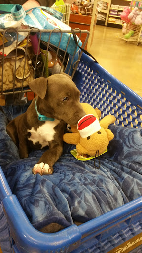Pet Supply Store «PetSmart», reviews and photos, 2130 Gunbarrel Rd, Chattanooga, TN 37421, USA