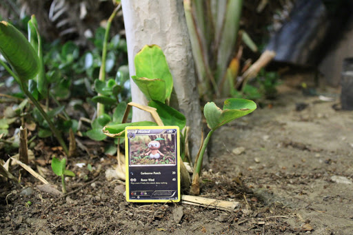 Coffee Shop «Cafe Canela», reviews and photos, 3100 E Imperial Hwy, Lynwood, CA 90262, USA