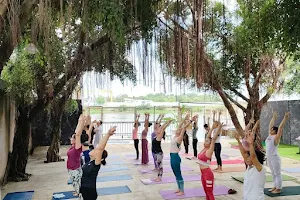 Yogadaily - Yoga mỗi ngày - Trung tâm đào tạo Yoga chuyên nghiệp image