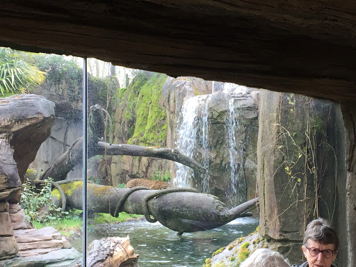 Zoo «Woodland Park Zoo», reviews and photos, 5500 Phinney Ave N, Seattle, WA 98103, USA