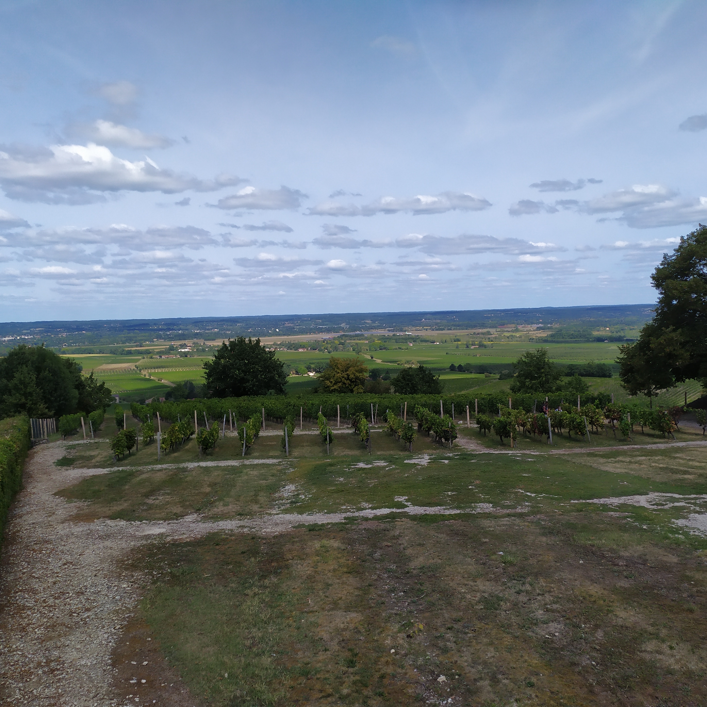 Photo n° 2 de l'avis de Capucine.e fait le 24/08/2020 à 14:57