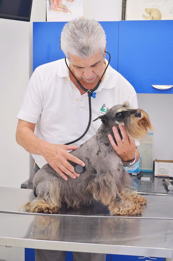 Clinics dogs Tijuana