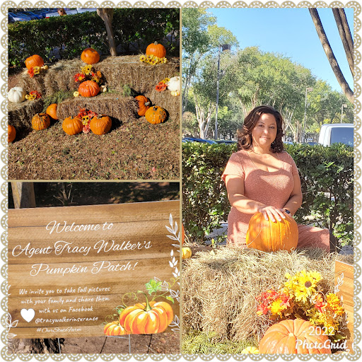 Insurance Agency «State Farm Insurance: Tracy Walker», reviews and photos