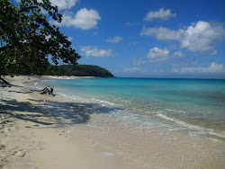 Plage du Vieux Fort'in fotoğrafı vahşi alan