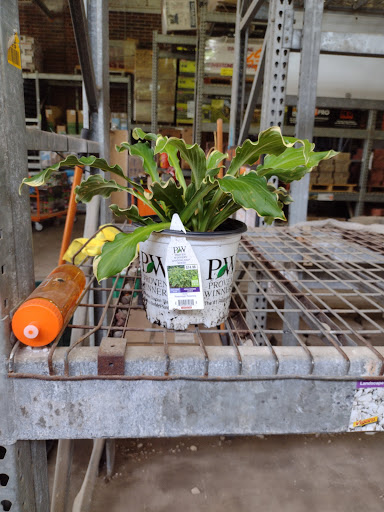 Home Improvement Store «The Home Depot», reviews and photos, 6199 Wilson Mills Rd, Highland Heights, OH 44143, USA