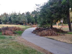 Beyer Community Park - photo 24