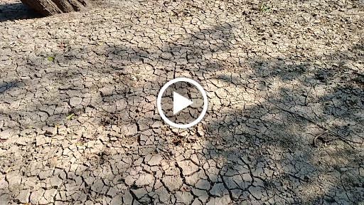 Nature Preserve «Forest Preserves of Cook County», reviews and photos, 9460 S Dee Rd, Park Ridge, IL 60068, USA