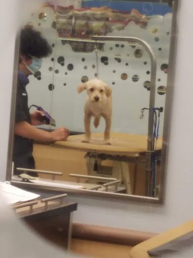 Pet Supply Store «PetSmart», reviews and photos, 12483 Limonite Ave, Mira Loma, CA 91752, USA