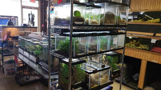 Pet Store «Birds & Beasts Pet Shop», reviews and photos, 35 Berkshire Dr # 18, Crystal Lake, IL 60014, USA