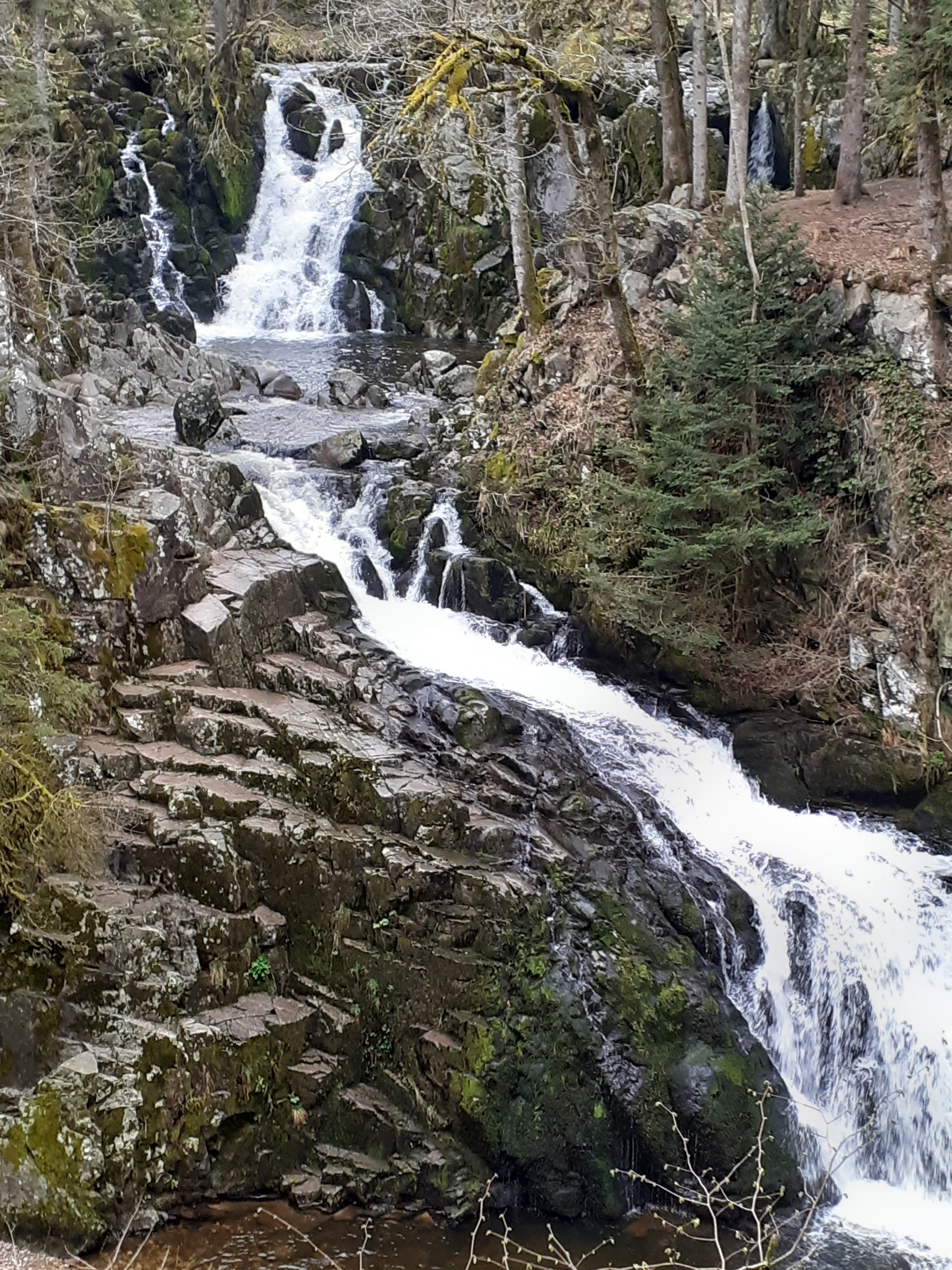 Photo n° 2 de l'avis de Evelyne.o fait le 18/04/2022 à 18:06