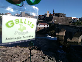 Gallus Tours - Animação Turística