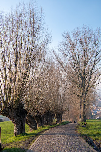 De Vlaamse Ardennen